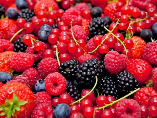 Frutas da cor do pecado são benéficas à saúde